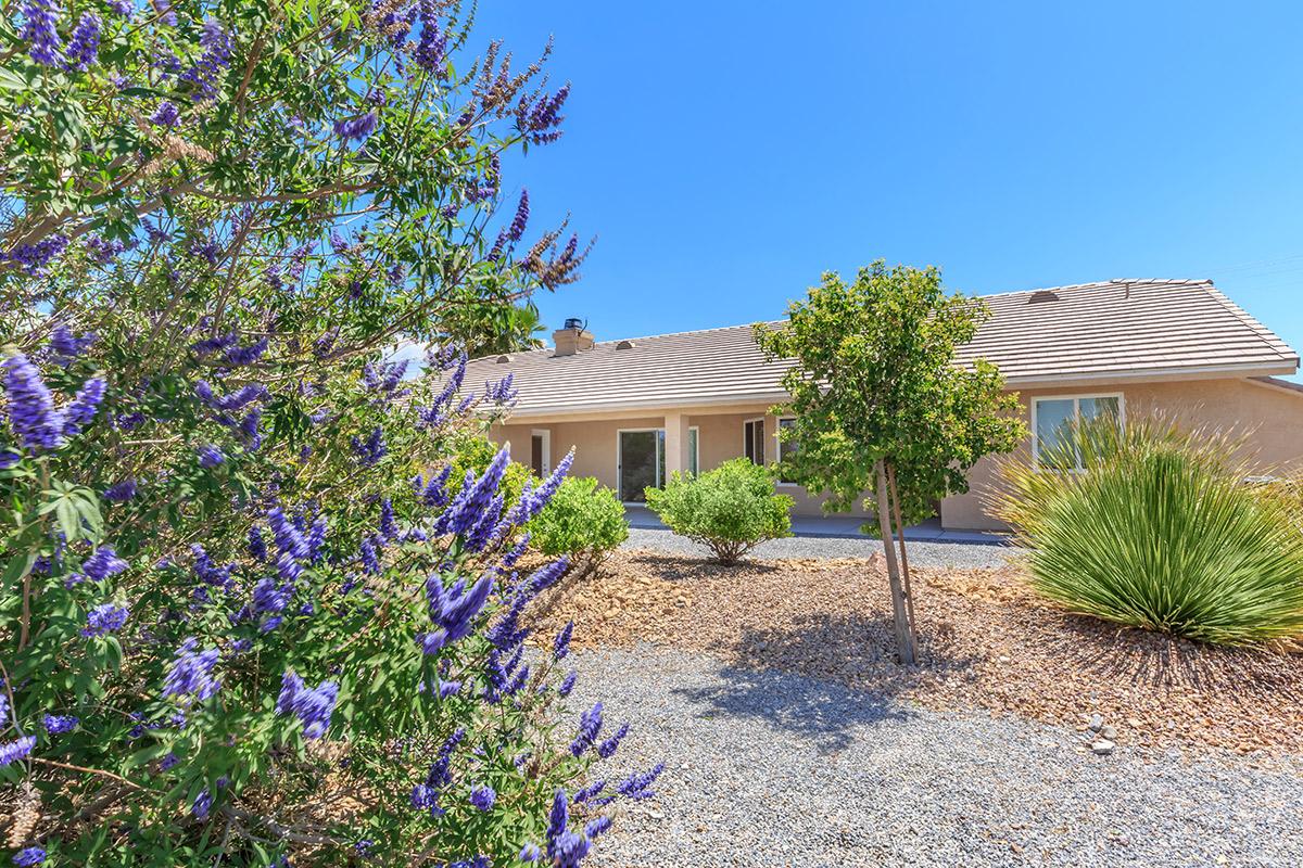 a close up of a flower garden in front of a house