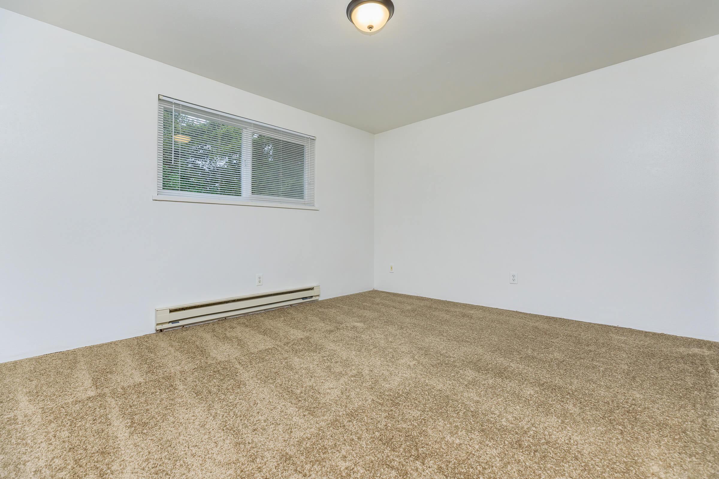 Empty room with light beige carpet and white walls. A single window with blinds is visible on one wall, allowing natural light to enter. There are no furniture or decorations, creating a clean and spacious atmosphere. A baseboard heater runs along the wall beneath the window.