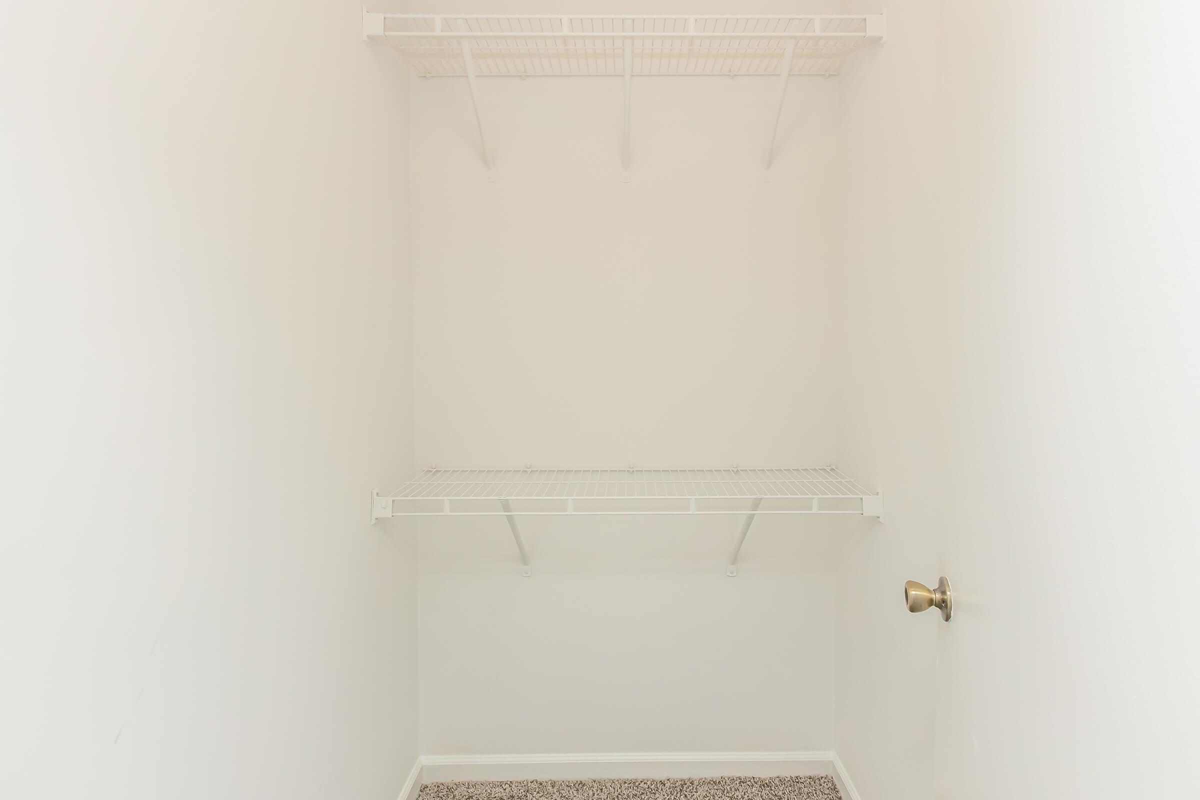 Empty closet with white walls and a beige carpet. It features two wire shelves on the left side and a door handle on the right. The space is bright and uncluttered, emphasizing simplicity and potential for storage.