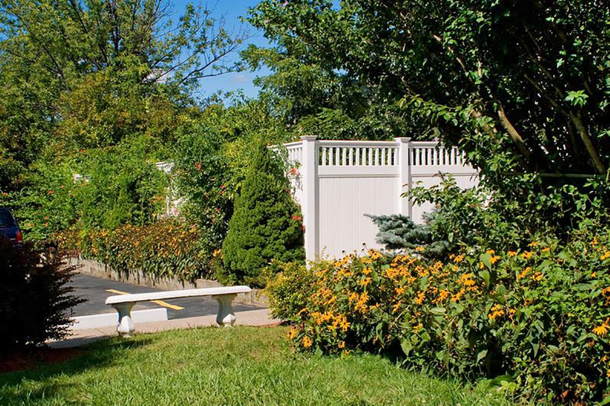 a bench in front of a tree