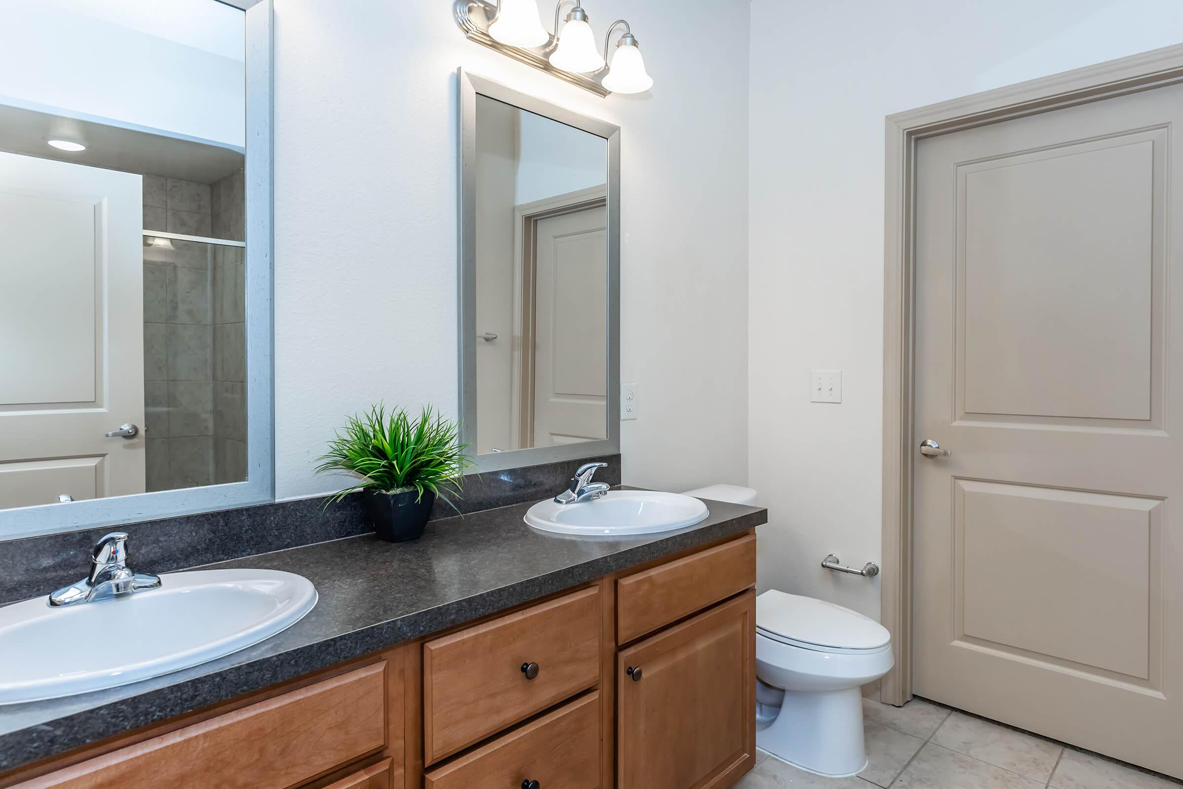 a double sink and large mirror