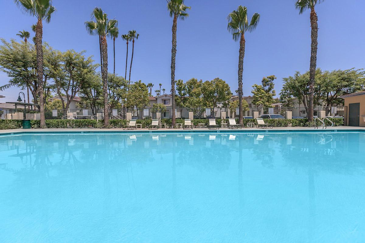 a large pool of water