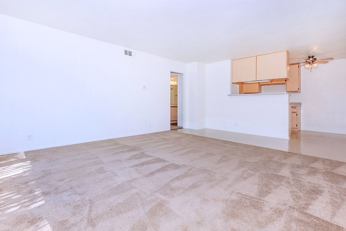 a large bed in a room