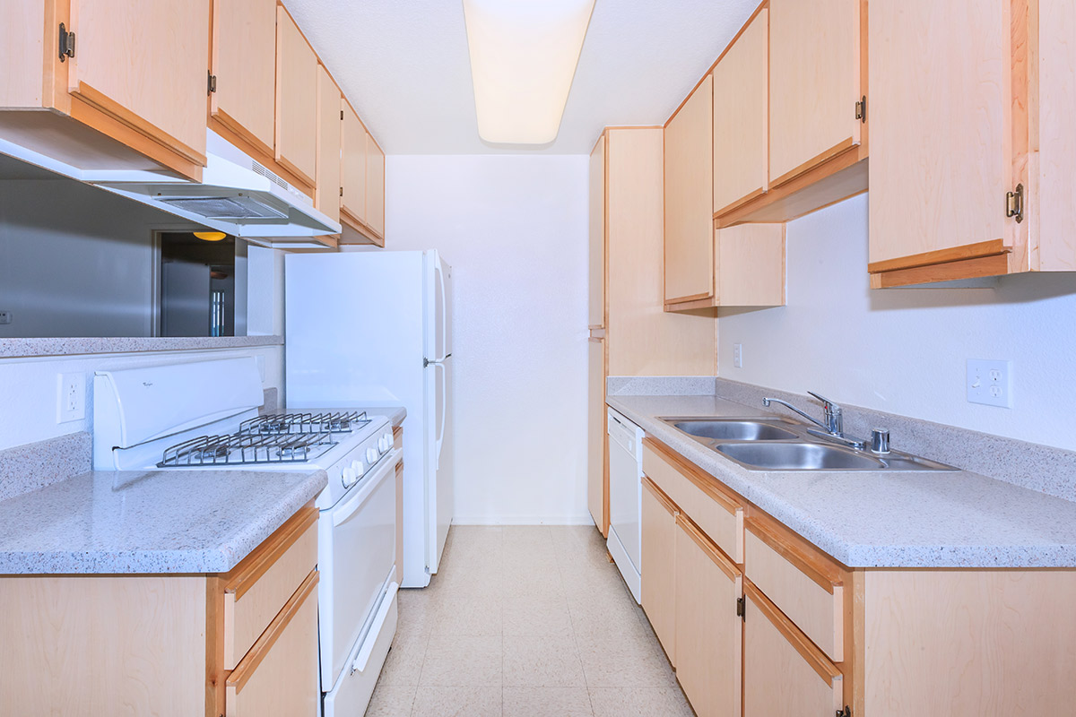 a kitchen with a stove and a sink