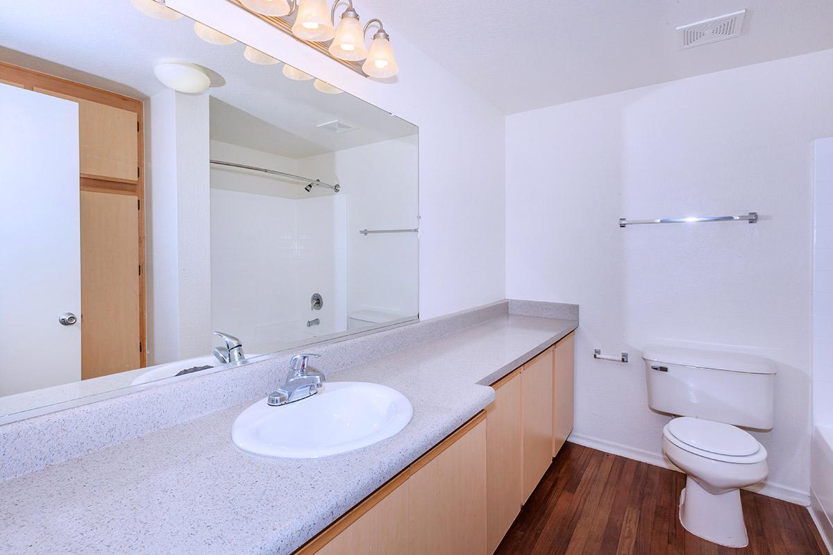 a white sink sitting under a mirror