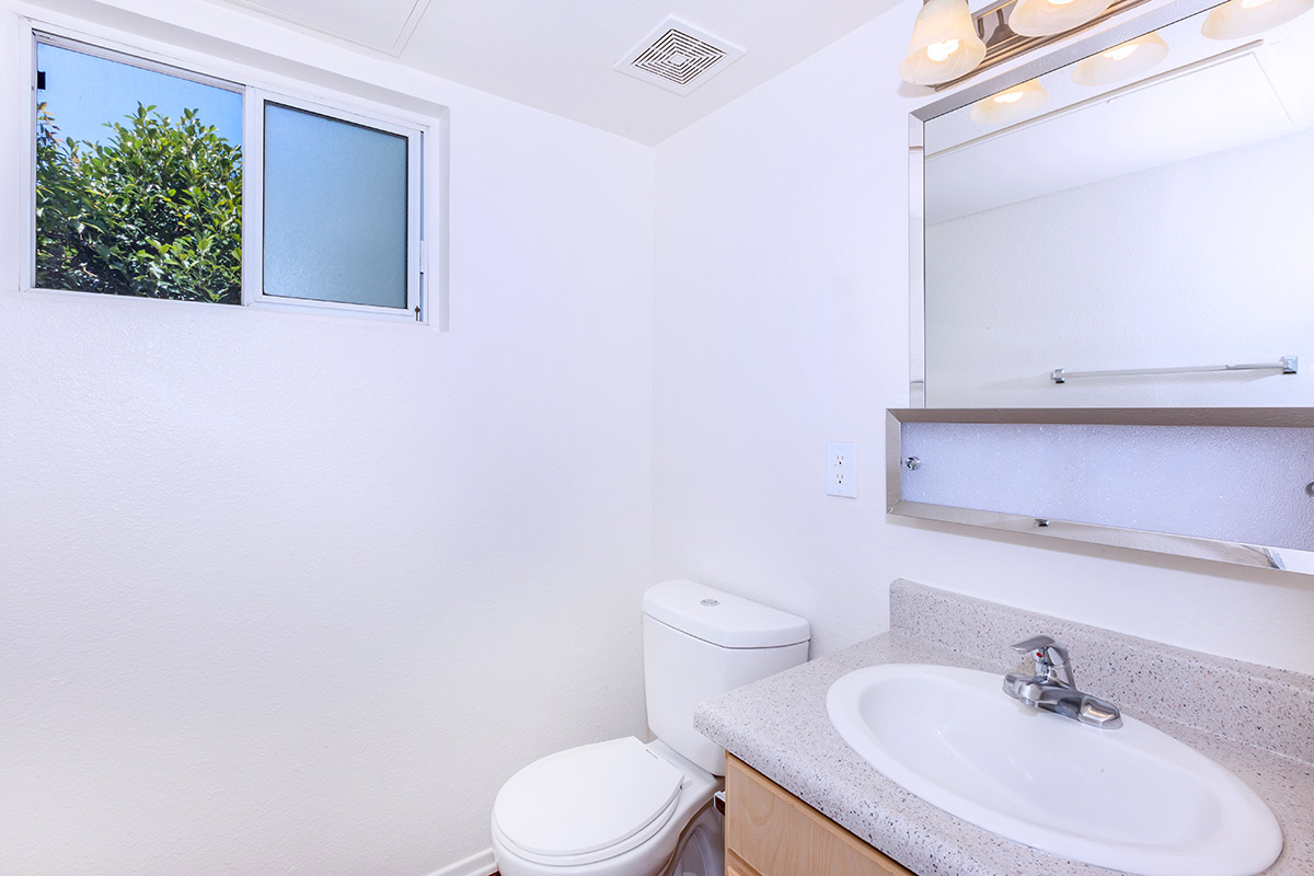 a white sink and a mirror