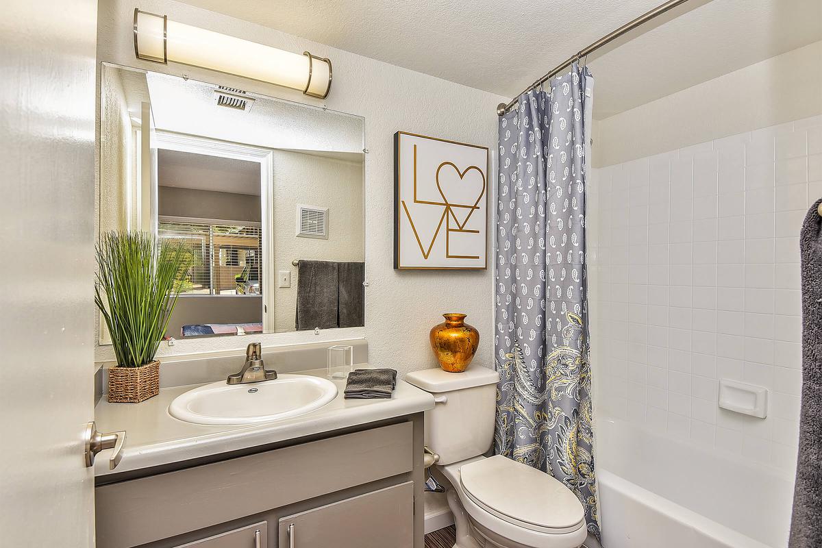 seventeen-805-17805-apartments-for-rent-phoenix-az-85032-model-bathroom.jpg