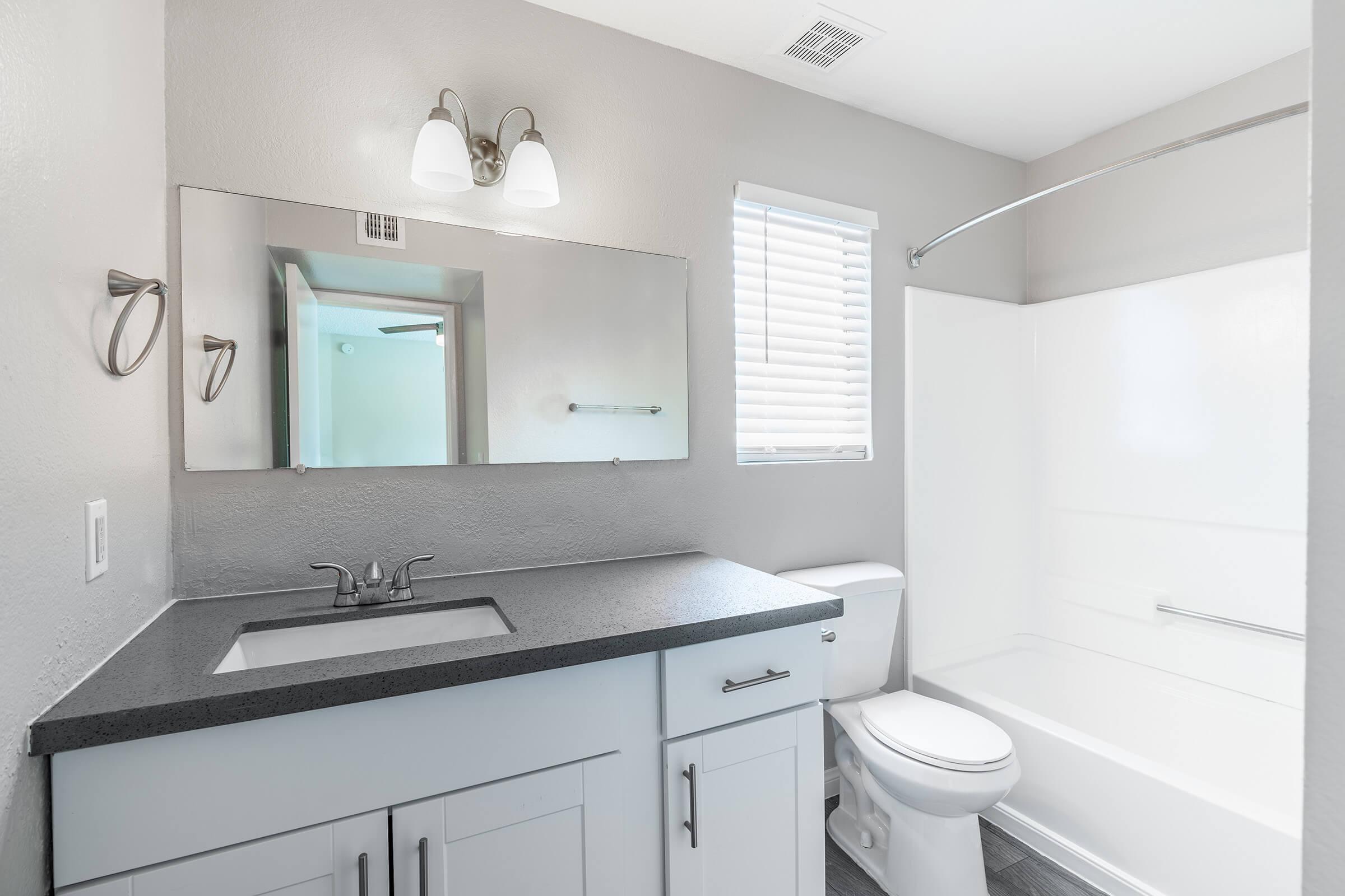 Renovated contemporary bathroom space with show, vanity, and toilet