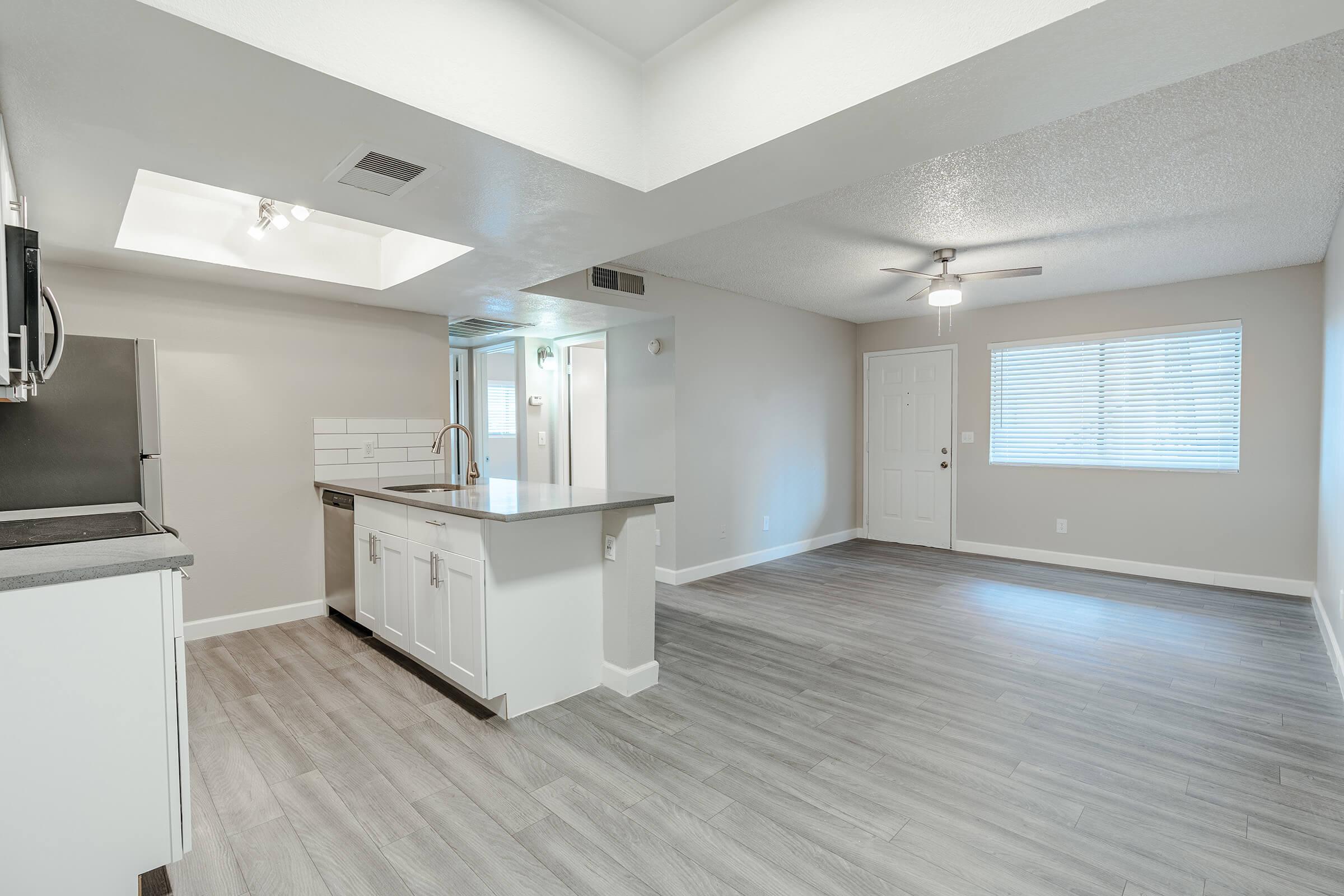 Spacious open floor plan living room and kitchen