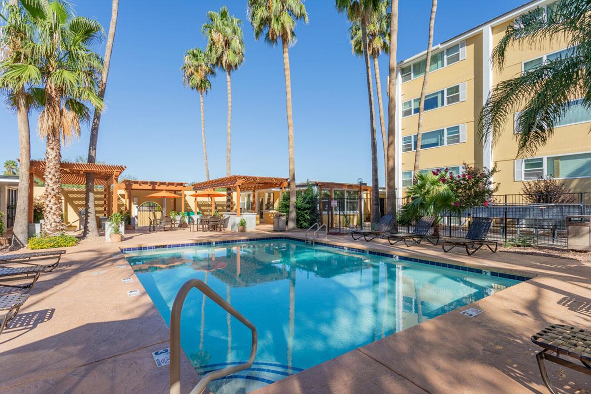 A residential swimming pool surrounded by palm trees and lounge chairs, featuring a shaded seating area under a pergola. The pool area is brightly lit by sunlight, and there are nearby buildings visible in the background.
