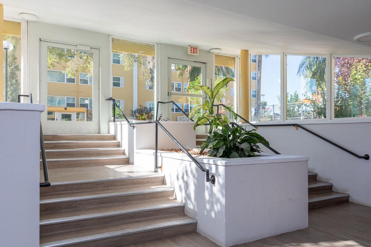 Interior view of a modern building featuring a staircase leading to a glass door. The space is filled with natural light, showcasing green plants in decorative planters. Large windows allow for a view of the outside, with a backdrop of palm trees and a colorful exterior of the building.
