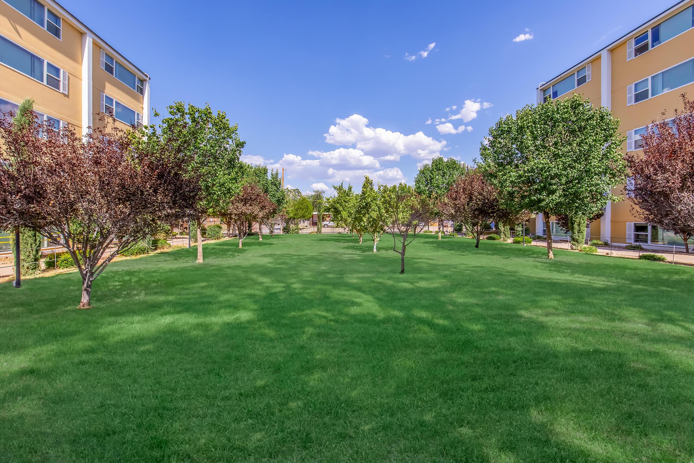 A lush green grassy area surrounded by trees, with two buildings on either side. The sky is bright blue with scattered clouds, creating a peaceful and inviting outdoor space.