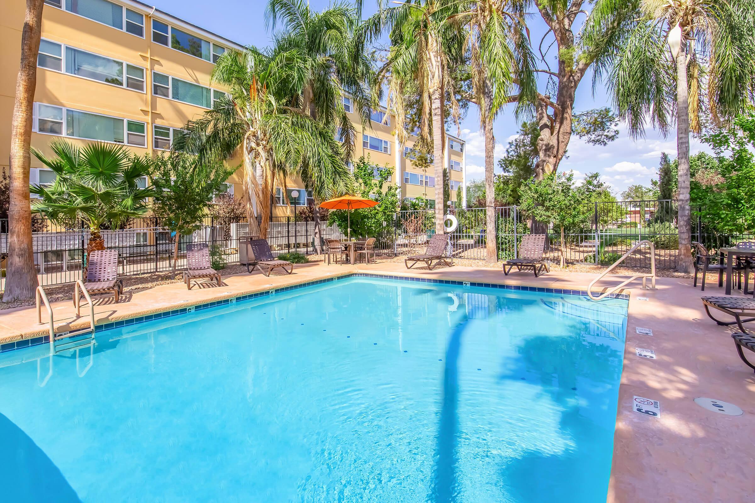A tranquil outdoor swimming pool surrounded by palm trees and lounge chairs, with an orange umbrella providing shade. Behind the pool, there's a modern building with large windows. The setting is bright and inviting, perfect for relaxation or leisure activities.