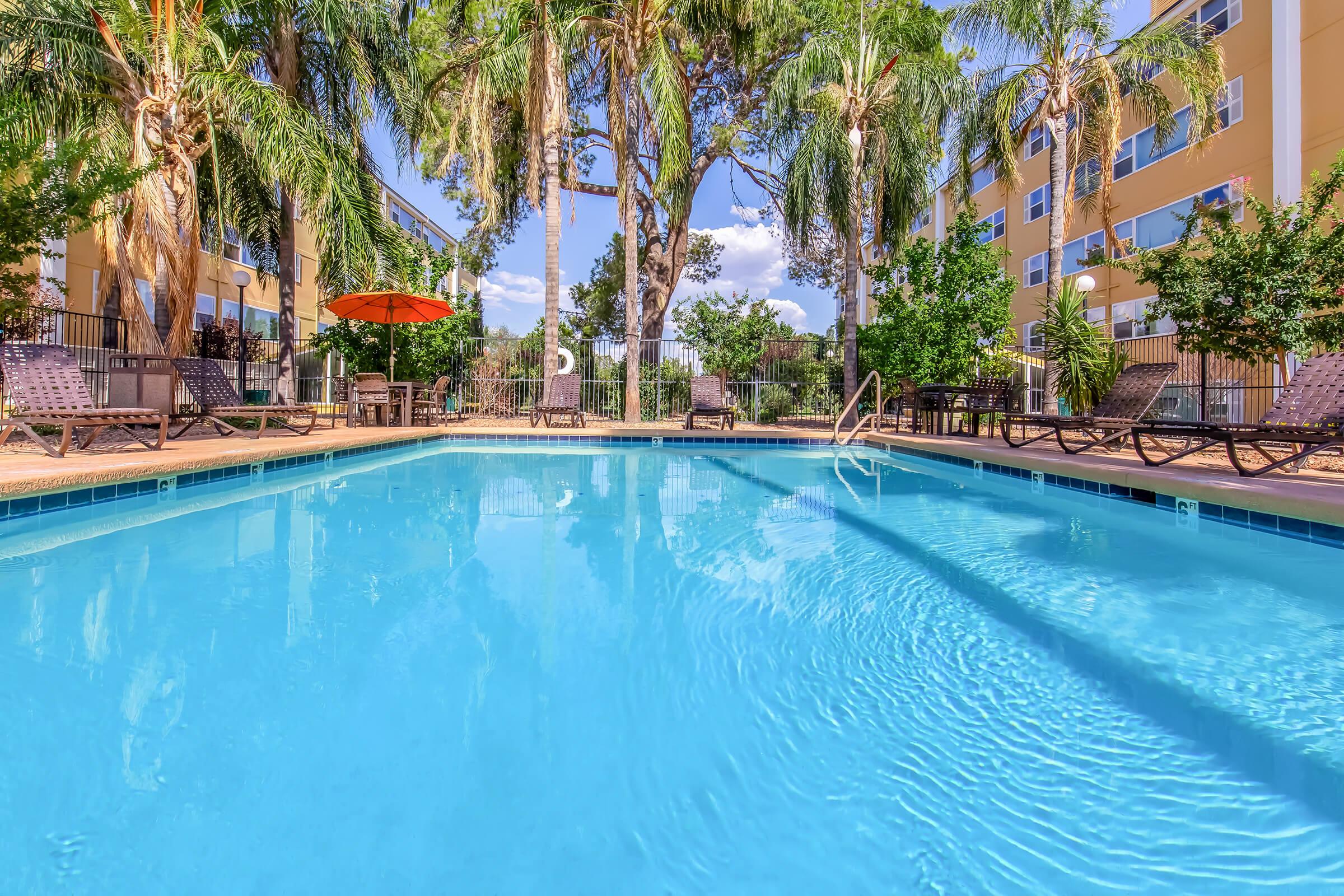 A clear blue swimming pool surrounded by palm trees and lounge chairs. An orange umbrella provides shade nearby. The pool area is enclosed with fences, and there are tall buildings in the background under a bright blue sky with a few clouds.