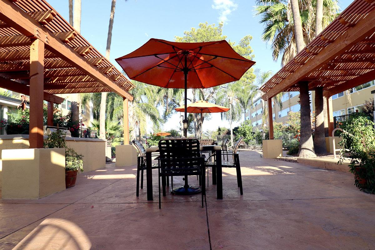 A serene outdoor space featuring several black metal chairs and tables arranged under orange umbrellas. Lush greenery and palm trees surround the area, creating a tropical atmosphere. The ground is paved in a light-colored material, and the setting appears well-maintained and inviting.