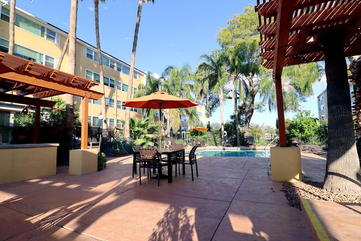 A sunny outdoor area featuring a pool surrounded by lush palm trees and greenery. There are tables with umbrellas and chairs arranged on a patio with a textured surface. The background includes multi-story buildings, adding to the inviting atmosphere of the space.