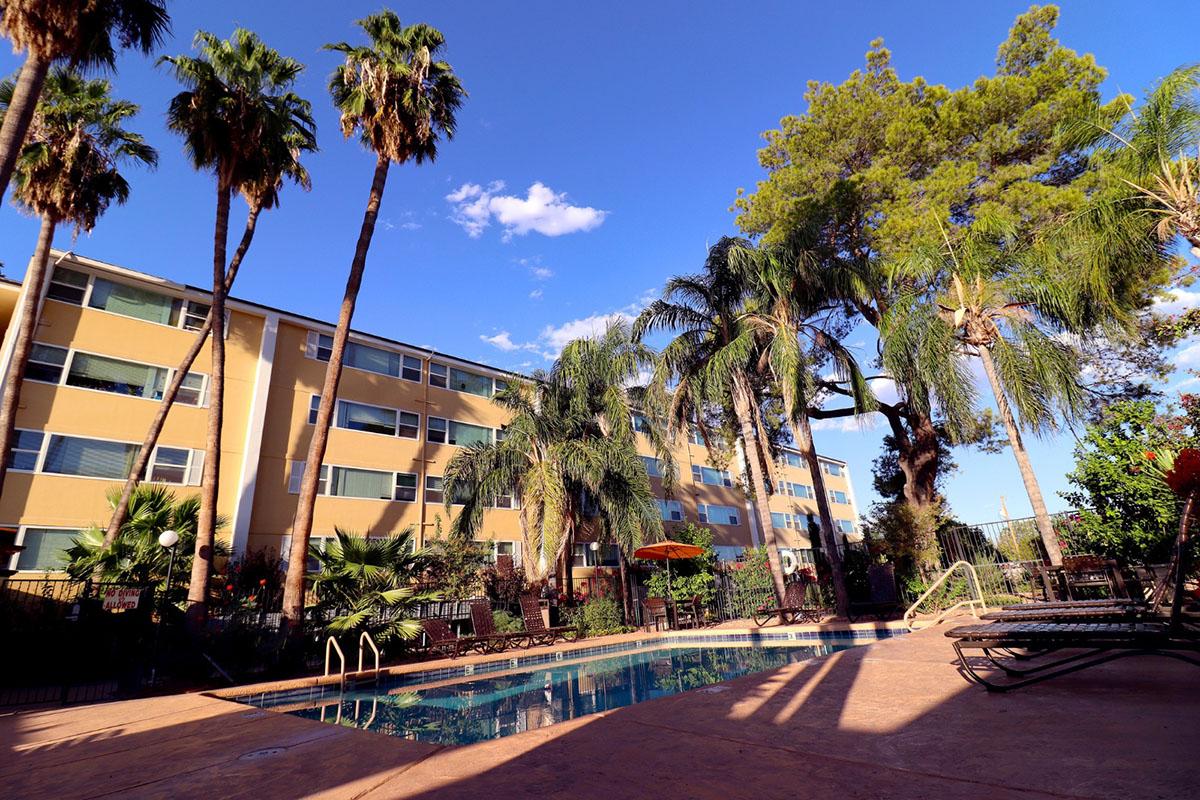 A sunny pool area surrounded by palm trees and lush greenery, featuring lounge chairs and a vibrant umbrella. In the background, a modern building with multiple windows reflects the clear blue sky. The scene conveys a relaxed, inviting atmosphere ideal for leisure and relaxation.