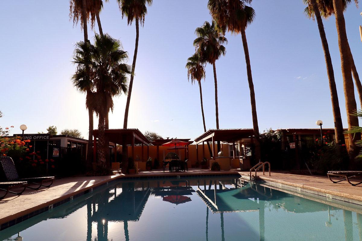 A clear blue swimming pool surrounded by palm trees, with a few sun loungers and a shaded seating area in the background. The sun is low in the sky, casting a warm glow over the scene. Nearby, a building labeled "Office" is partially visible, enhancing the tranquil atmosphere.