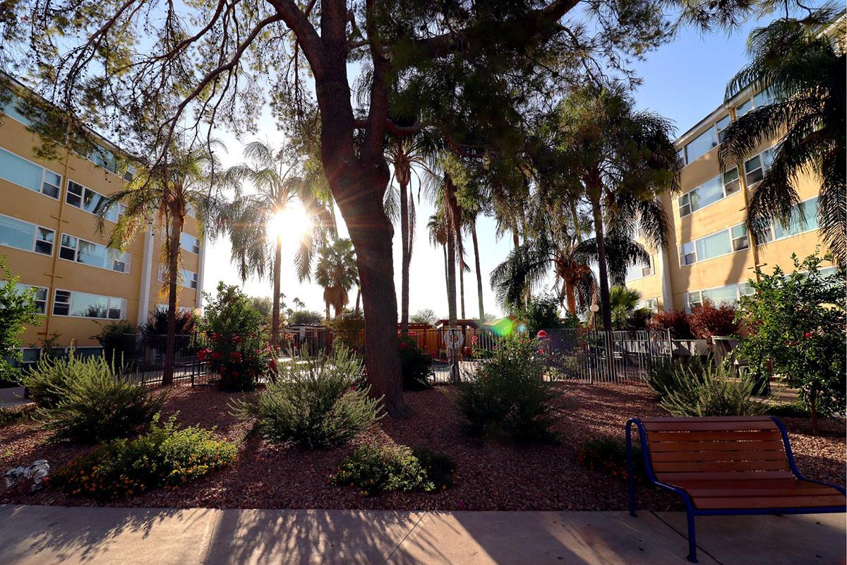 A serene outdoor scene featuring palm trees and landscaped gardens between two buildings. The sun sets behind the trees, casting a warm glow. A bench sits in the foreground, inviting relaxation, while glimpses of a playground can be seen in the background.