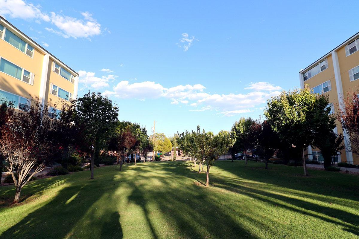 A peaceful green courtyard surrounded by two multi-story buildings. Lush trees line the grass, casting long shadows in the late afternoon light. The sky is bright blue with a few fluffy clouds, creating a serene atmosphere.