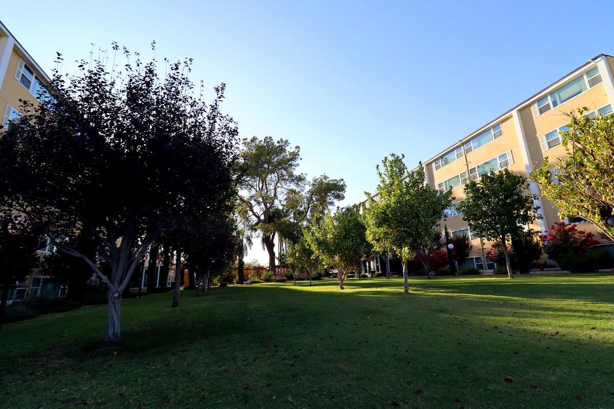 A bright outdoor scene featuring a grassy area flanked by small trees and bushes. There are several multi-story buildings in the background, under a clear blue sky with sunlight illuminating the landscape. The setting appears tranquil and well-maintained, ideal for relaxation or leisure activities.