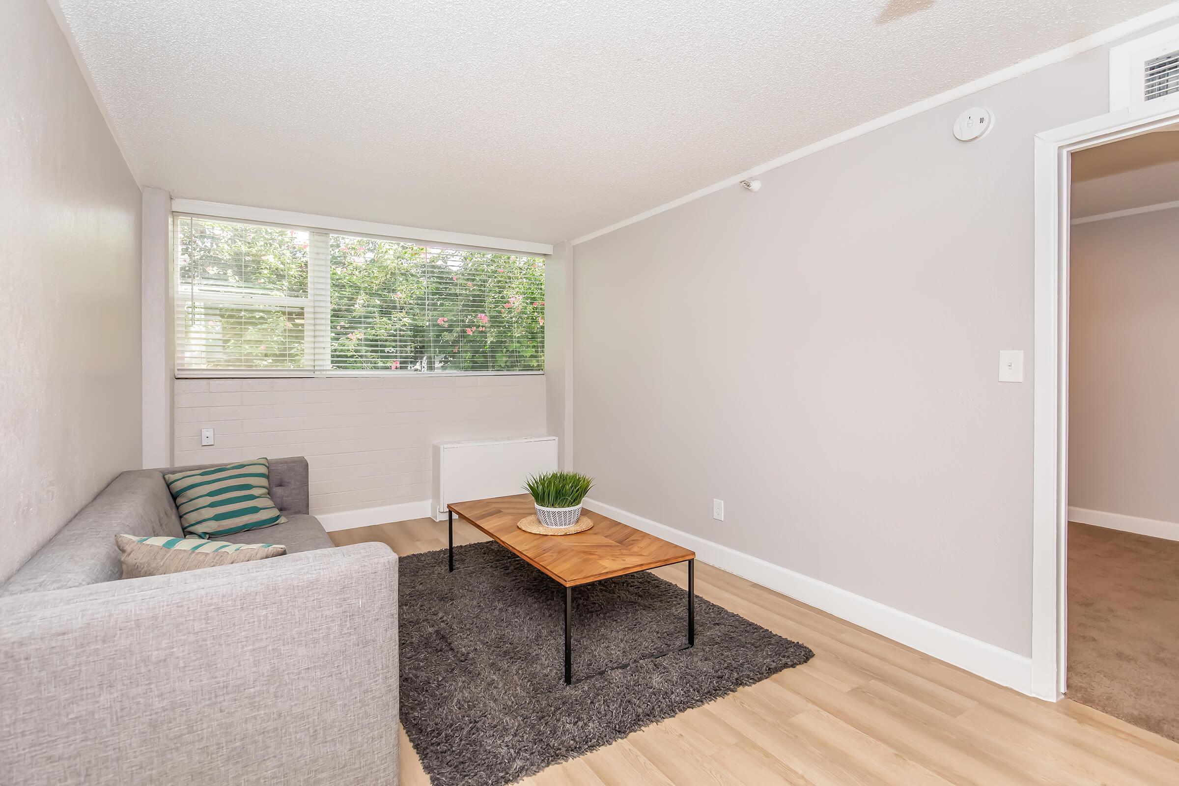 A bright, modern living room featuring a gray sofa with decorative pillows, a wooden coffee table on a soft rug, and large windows allowing natural light. The walls are painted in a light color, creating a spacious feel, and a potted plant adds a touch of greenery to the setting.