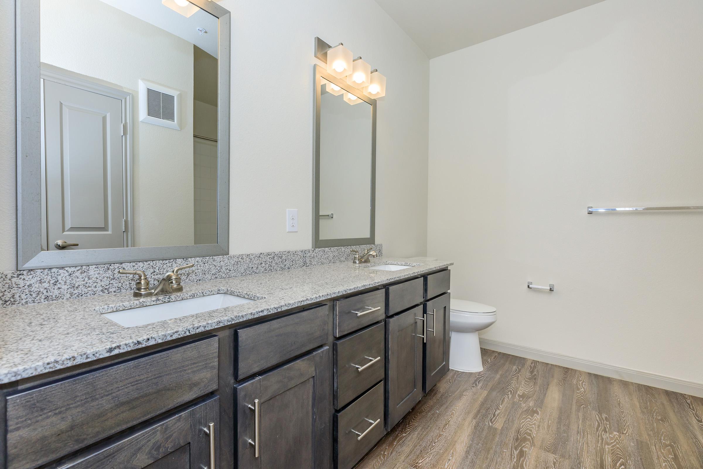 a double sink and large mirror