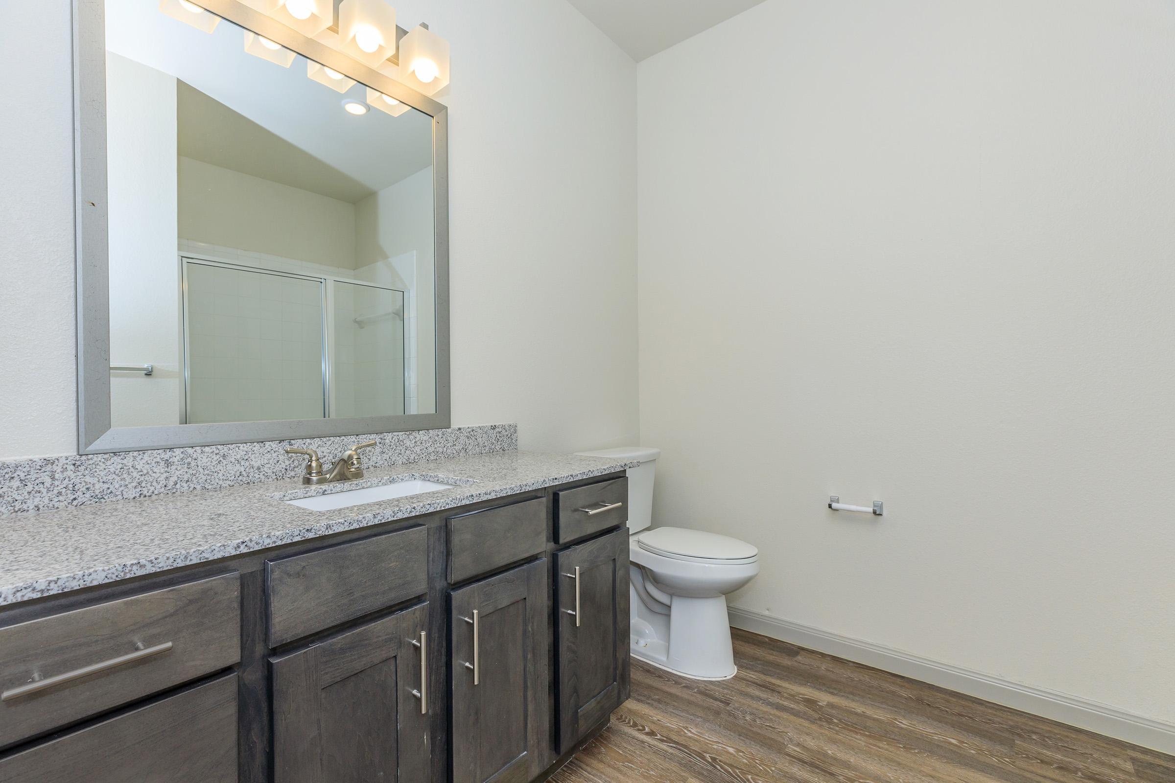 a sink and a mirror
