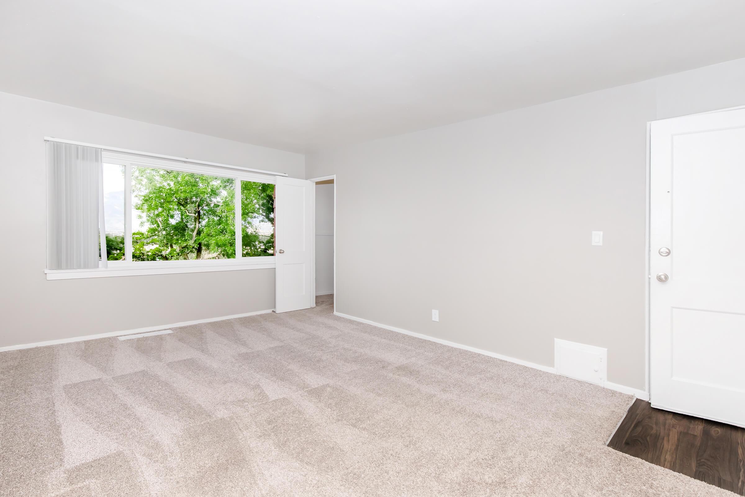 A spacious, empty room with light gray walls and carpeted flooring. There is a large window with white blinds that allows natural light to enter, and a white door on the right. The minimalistic design offers a bright and clean atmosphere, ideal for various decorating possibilities.