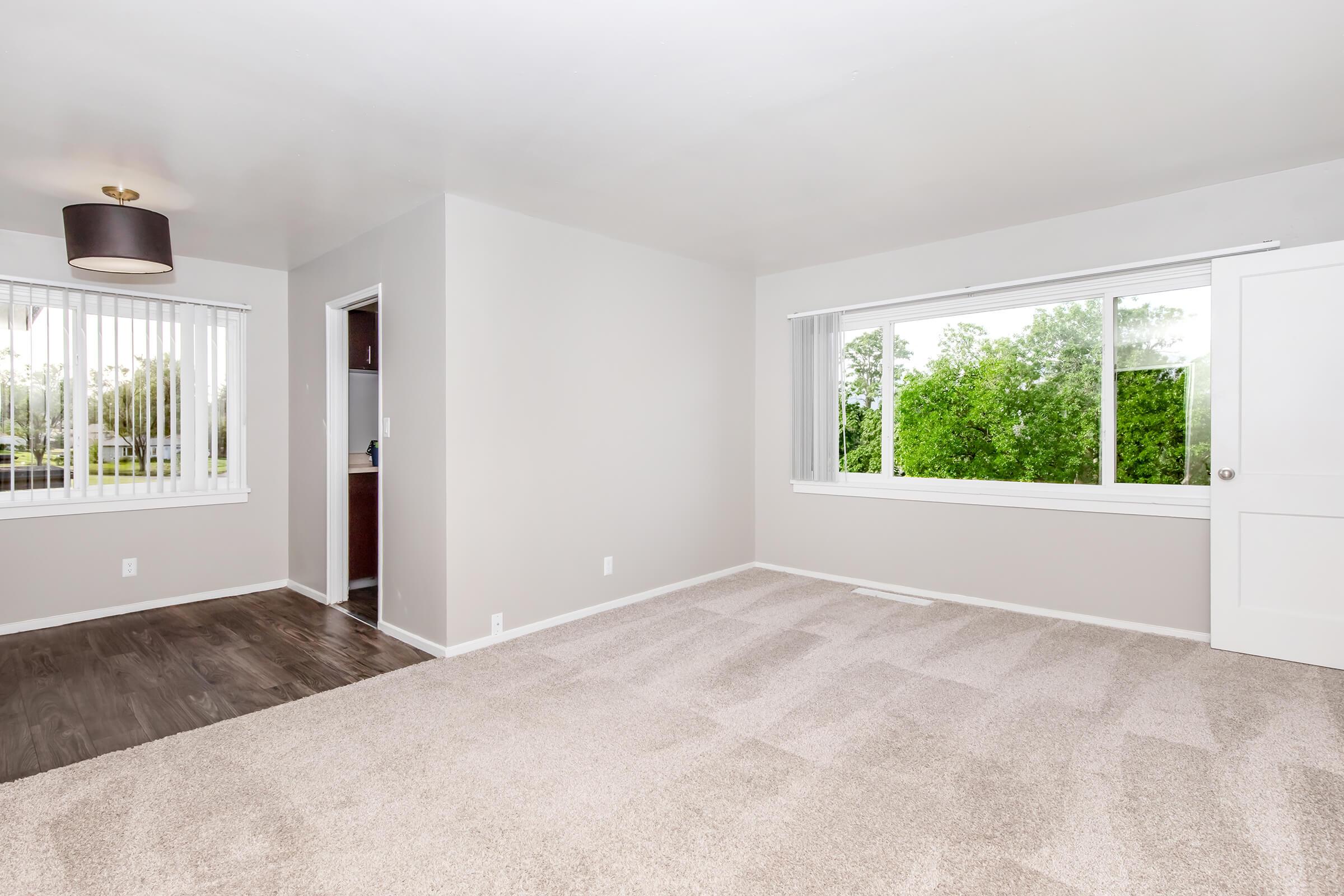A bright, spacious living room featuring light-colored walls, a large window with greenery outside, and a soft carpeted floor. A light fixture hangs from the ceiling, and a door leads to another room. The natural light enhances the open and airy feel of the space.