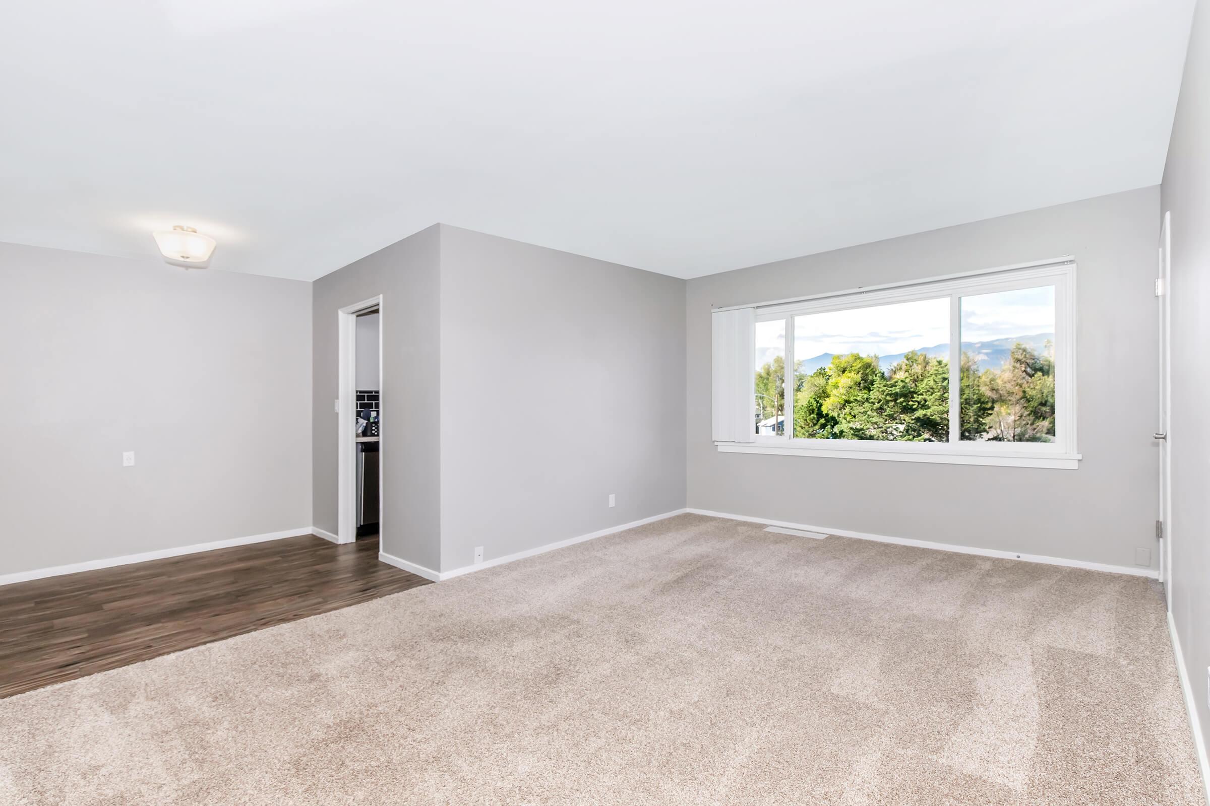 A spacious, empty room with light gray walls and tan carpet. Large windows provide natural light and a view of greenery outside. A doorway on the left leads to an adjacent room. The ceiling features a simple light fixture, adding to the bright, open feel of the space.