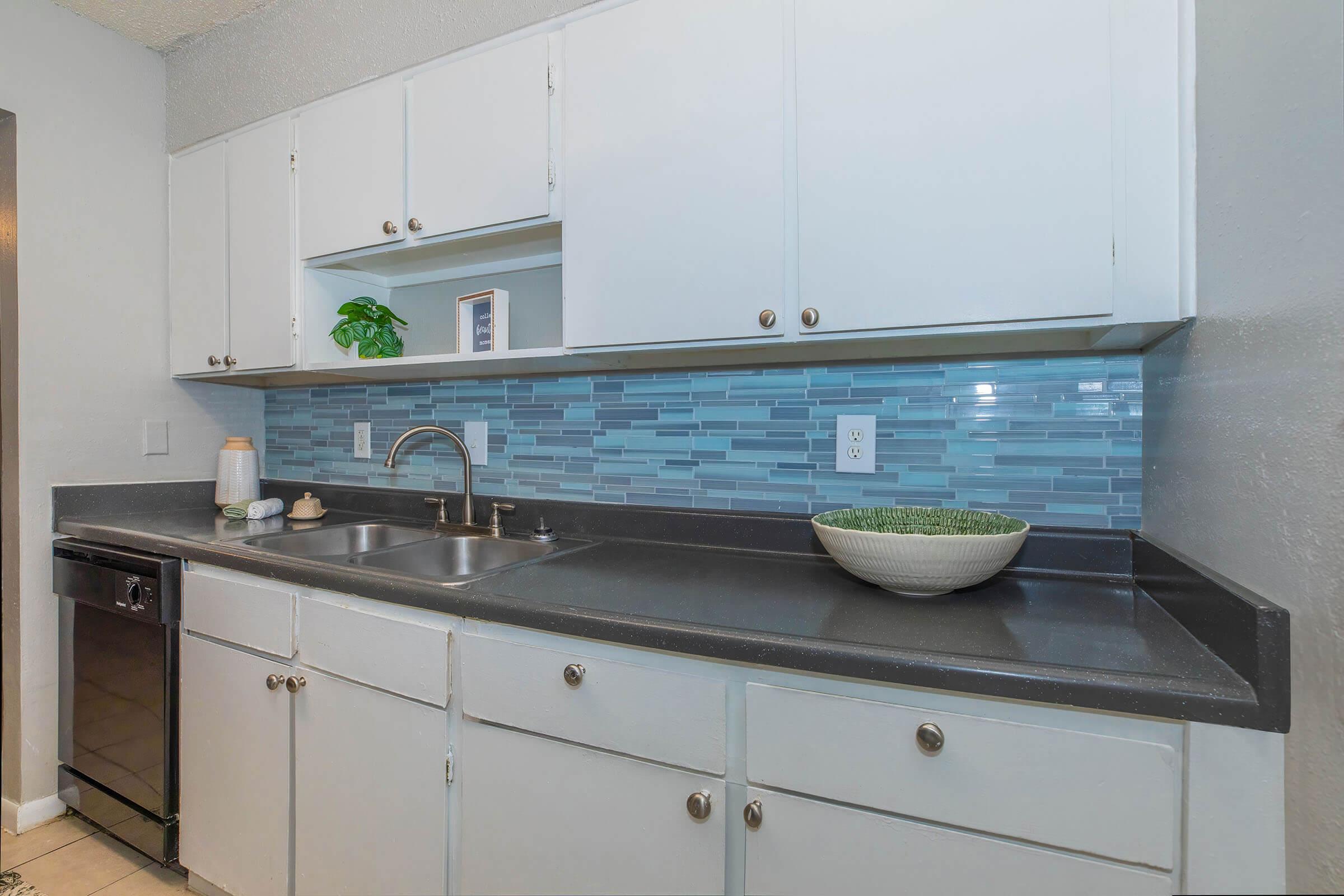 Modern kitchen with light blue tile backsplash, white cabinets, and black countertops. Features a double sink, a small potted plant, and a round bowl. Includes a stainless steel dishwasher and bright lighting.