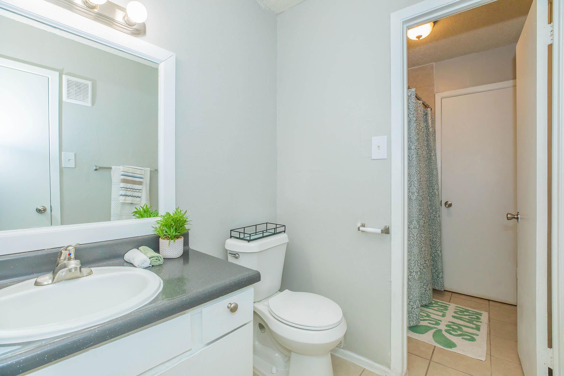 A clean and modern bathroom featuring a white countertop with a small plant, a toilet, and a mirror with lighting above. There’s a shower area in the background with a light-colored curtain, and a decorative mat on the floor. The walls are painted a soft gray, creating a calm atmosphere.