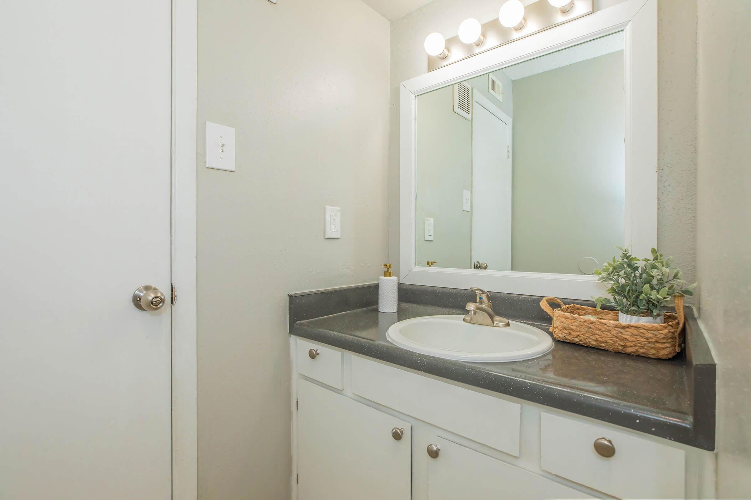A modern bathroom vanity with a round sink and single faucet. The countertop is dark grey, adorned with a small white vase and a wicker basket containing a plant. A large mirror is mounted above the sink, and the walls are painted light grey. A door is visible on the left side of the image.