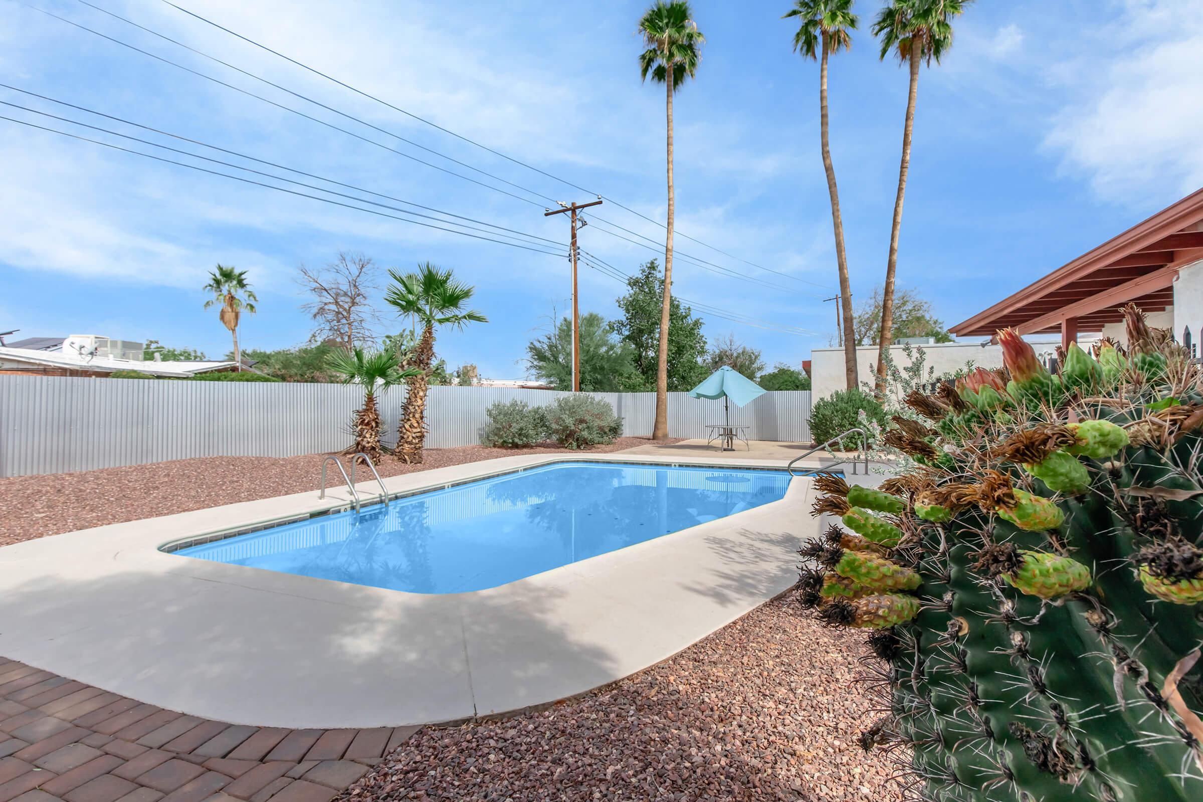 A serene backyard featuring a refreshing swimming pool surrounded by gravel and palm trees. In the background, a white fence provides privacy, while an umbrella stands near a seating area. Cacti and other greenery enhance the outdoor space, creating a tranquil atmosphere for relaxation.