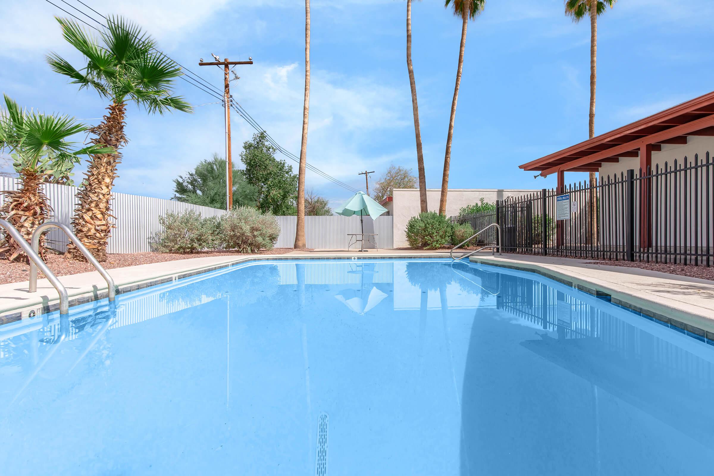 A clear blue swimming pool surrounded by palm trees and shrubs. A fenced area with a chaise lounge and an umbrella in the background. Power lines stretch across the sky under a light blue cloudy sky, adding to the serene outdoor atmosphere.