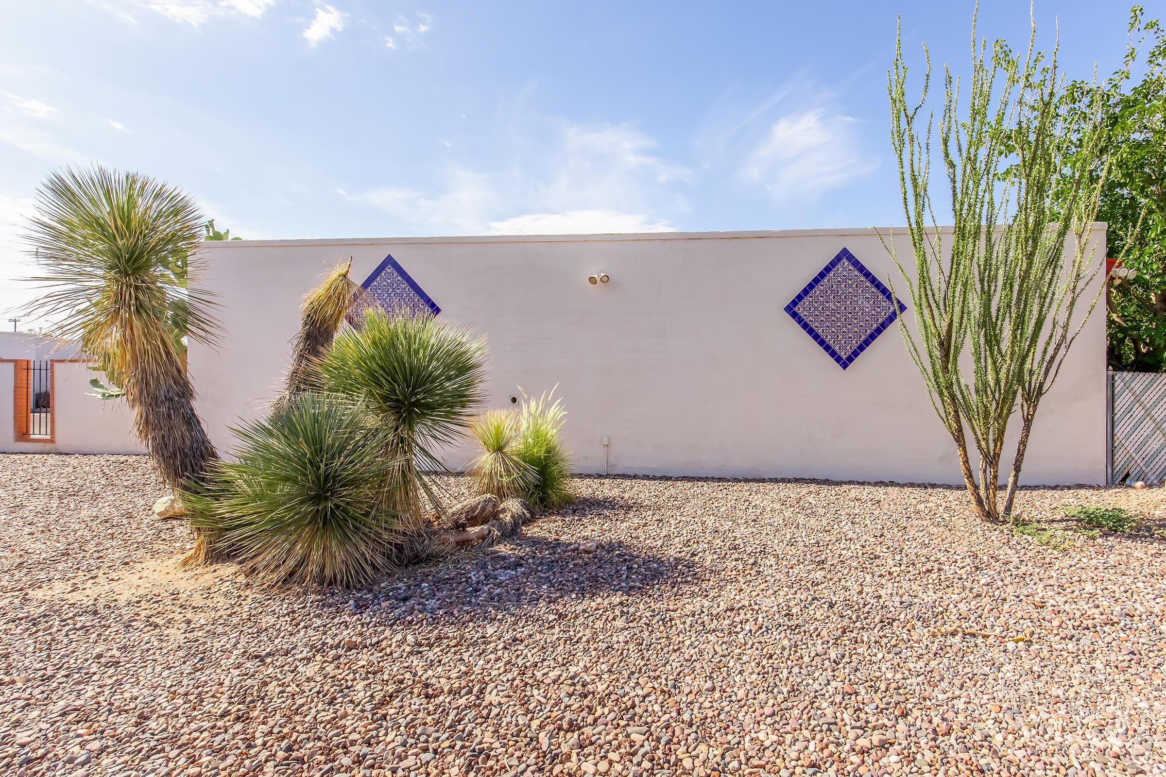 A dry landscape featuring a light-colored wall with two blue diamond-shaped decorations. In the foreground, there are several spiky desert plants, including a large cluster of yucca and ocotillo, set against a backdrop of a clear blue sky. The ground is covered in small rocks.