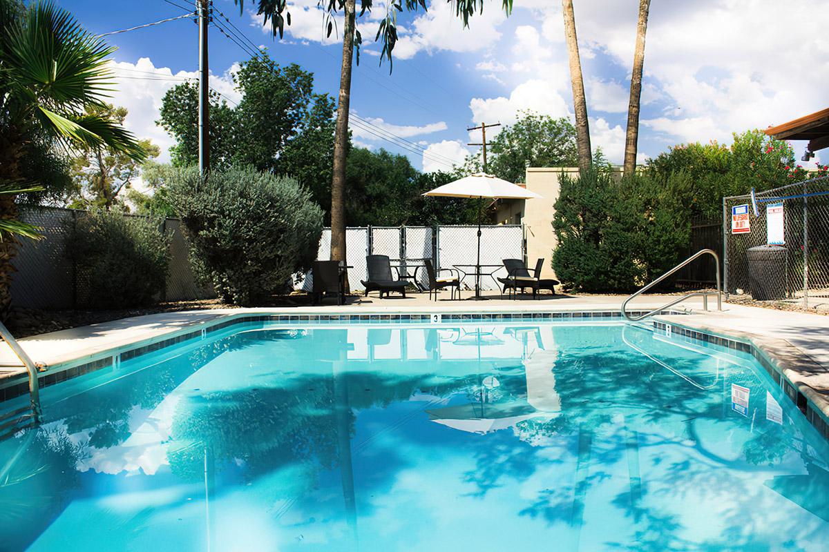A tranquil outdoor swimming pool surrounded by lush greenery and palm trees. Lounge chairs are positioned around the pool, with a large umbrella providing shade. The sky is bright with fluffy clouds, creating a serene atmosphere for relaxation.