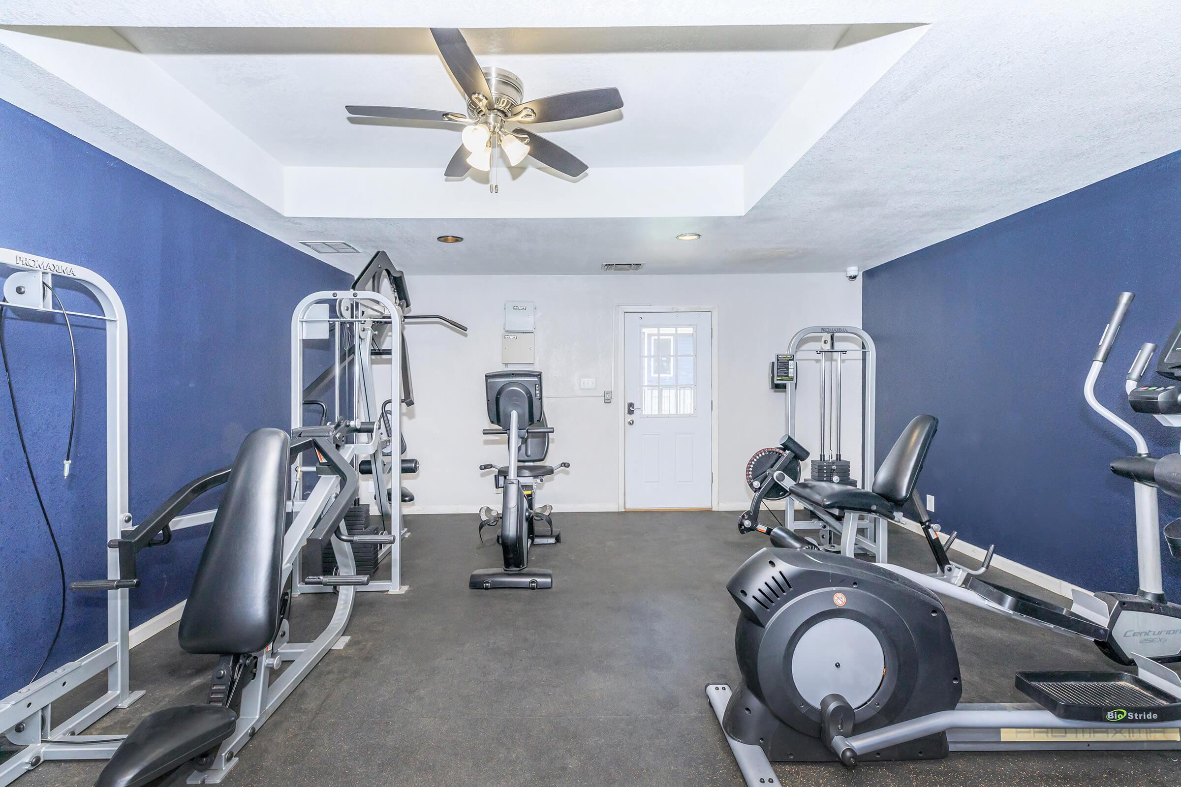A spacious gym area featuring a variety of exercise equipment, including weight machines, a stationary bike, and a treadmill. The room has a ceiling fan and a blue accent wall, with a door that leads outside. The flooring is dark, providing a modern and clean look for fitness activities.