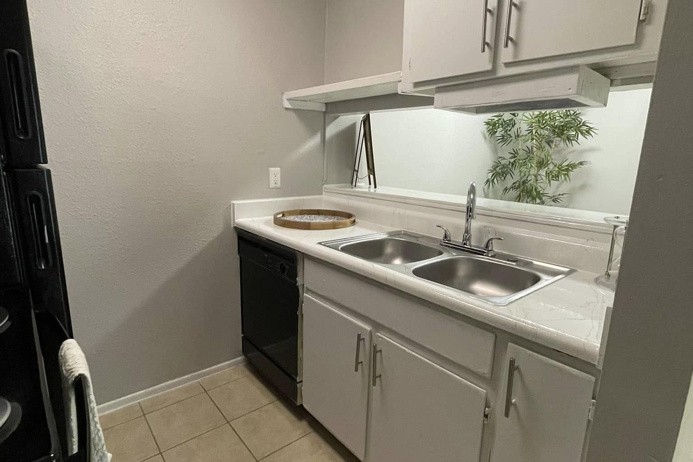 A clean, modern kitchen featuring a double sink, dishwashing machine, and white cabinets. The countertop is clutter-free, with a decorative tray on the sink. A small indoor plant adds a touch of greenery, and the walls are painted in a light gray shade. The floor has neutral-colored tiles.