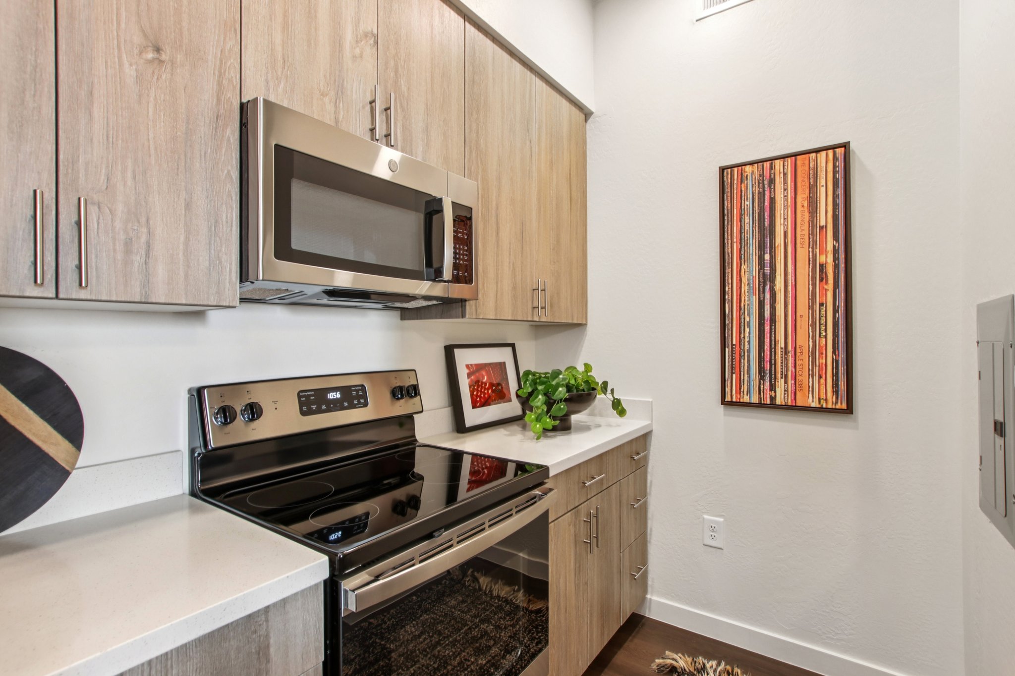 A modern kitchen featuring wood cabinetry, stainless steel appliances including an oven and microwave, a decorative artwork on the wall, a framed picture on the countertop, and a potted plant, all set against a neutral wall.