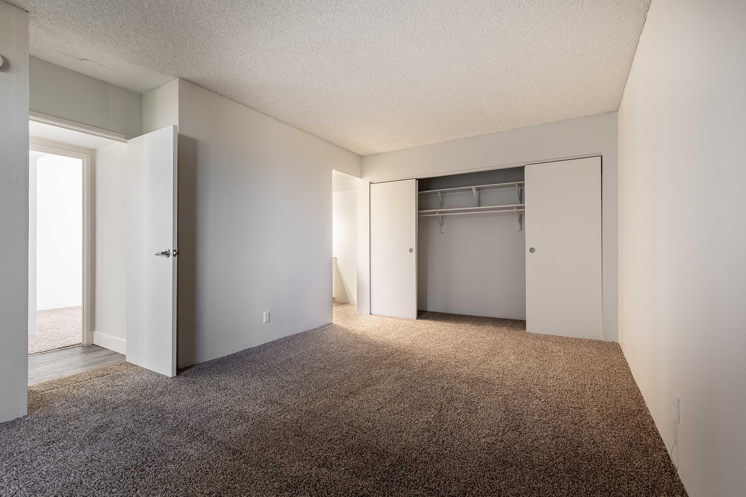 Empty room with beige carpet and textured walls. Features two open doors leading to a closet and another space, with ample natural light illuminating the area. The room has a minimalist design, offering a clean and open feel.