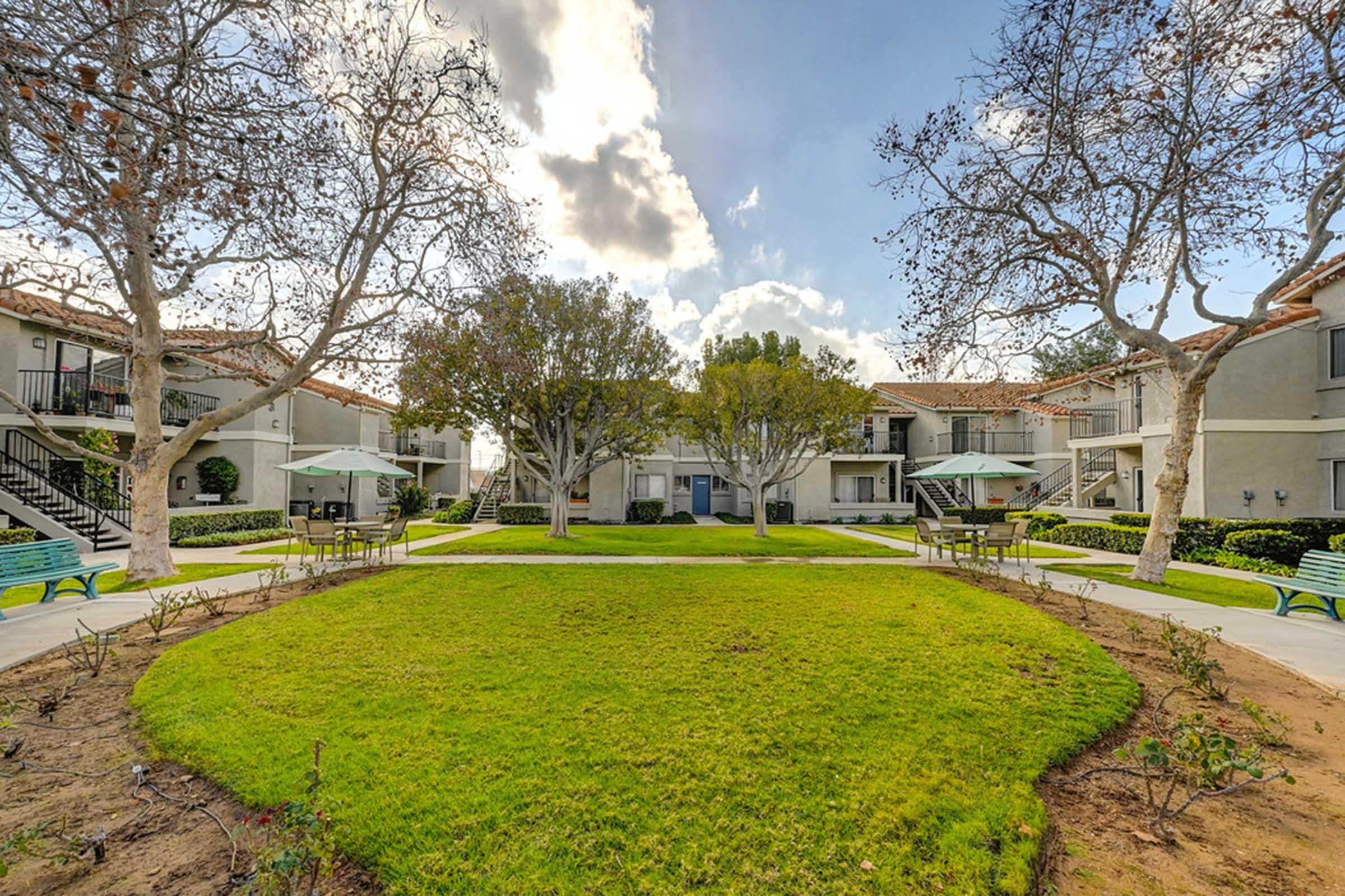 a courtyard with grass and trees