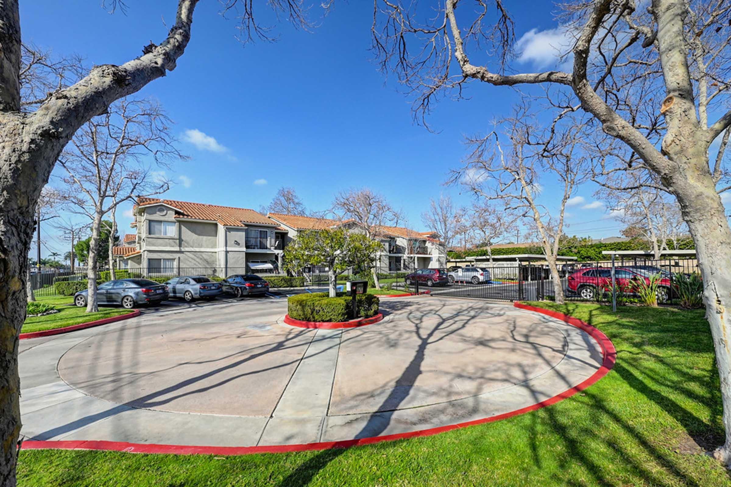 a large tree in a parking lot