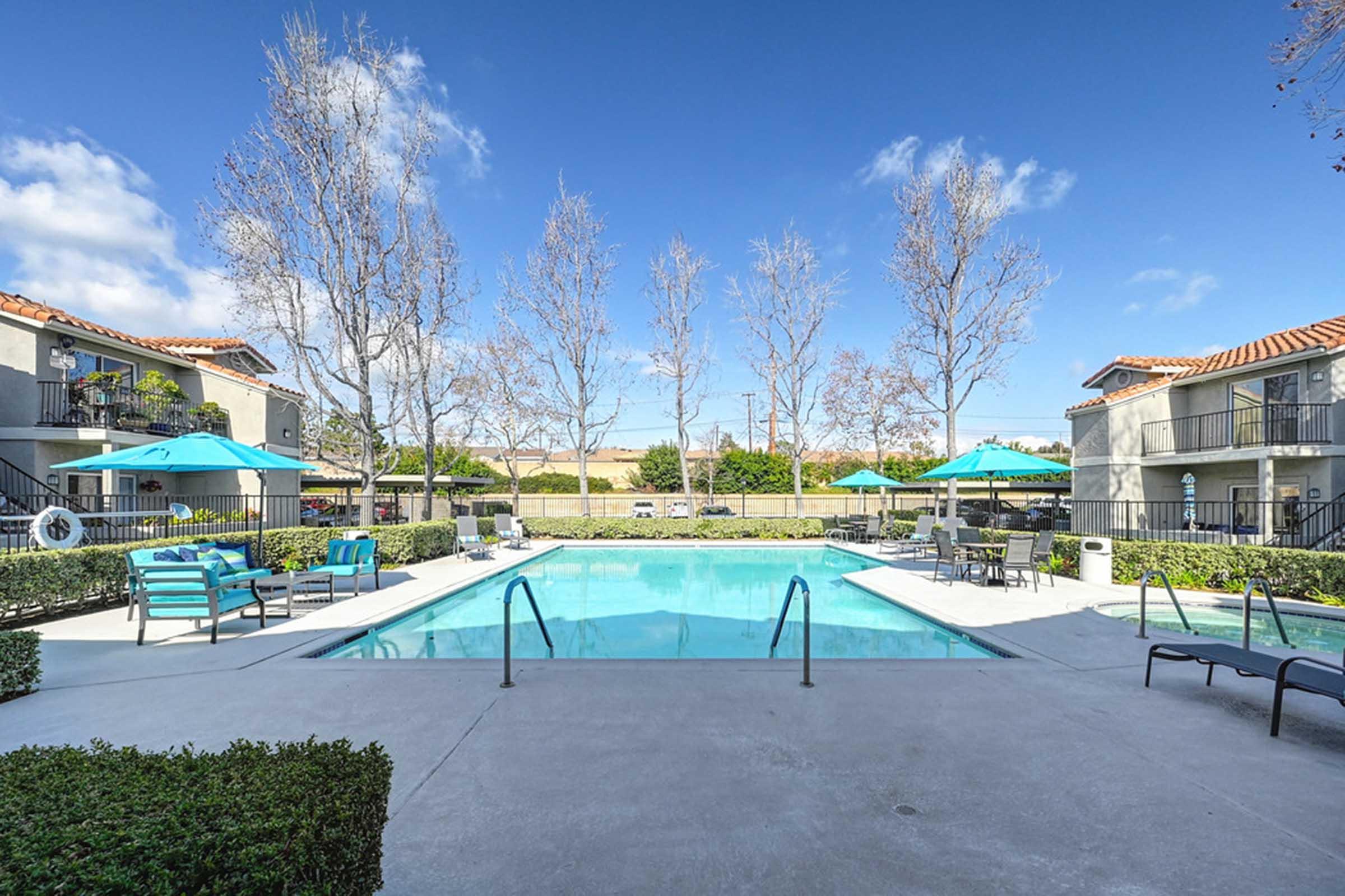 a group of trees with a pool