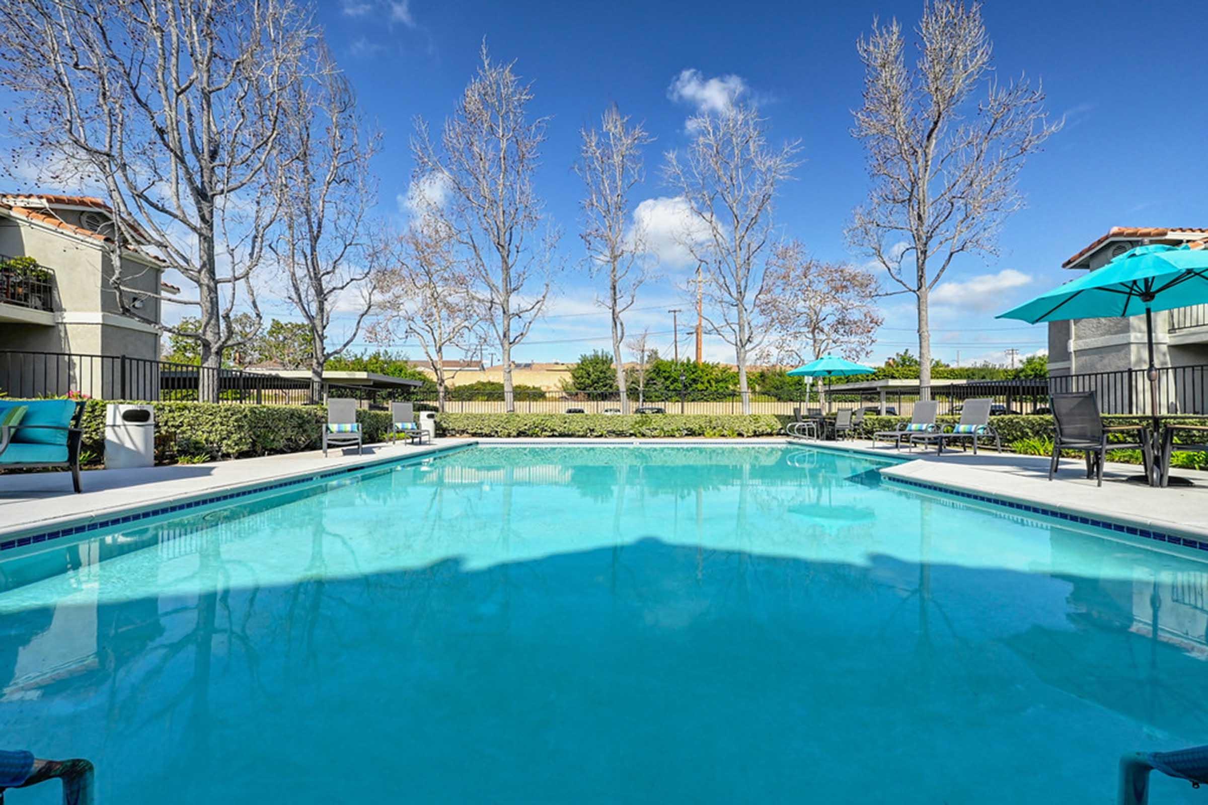 a large pool with trees in the background