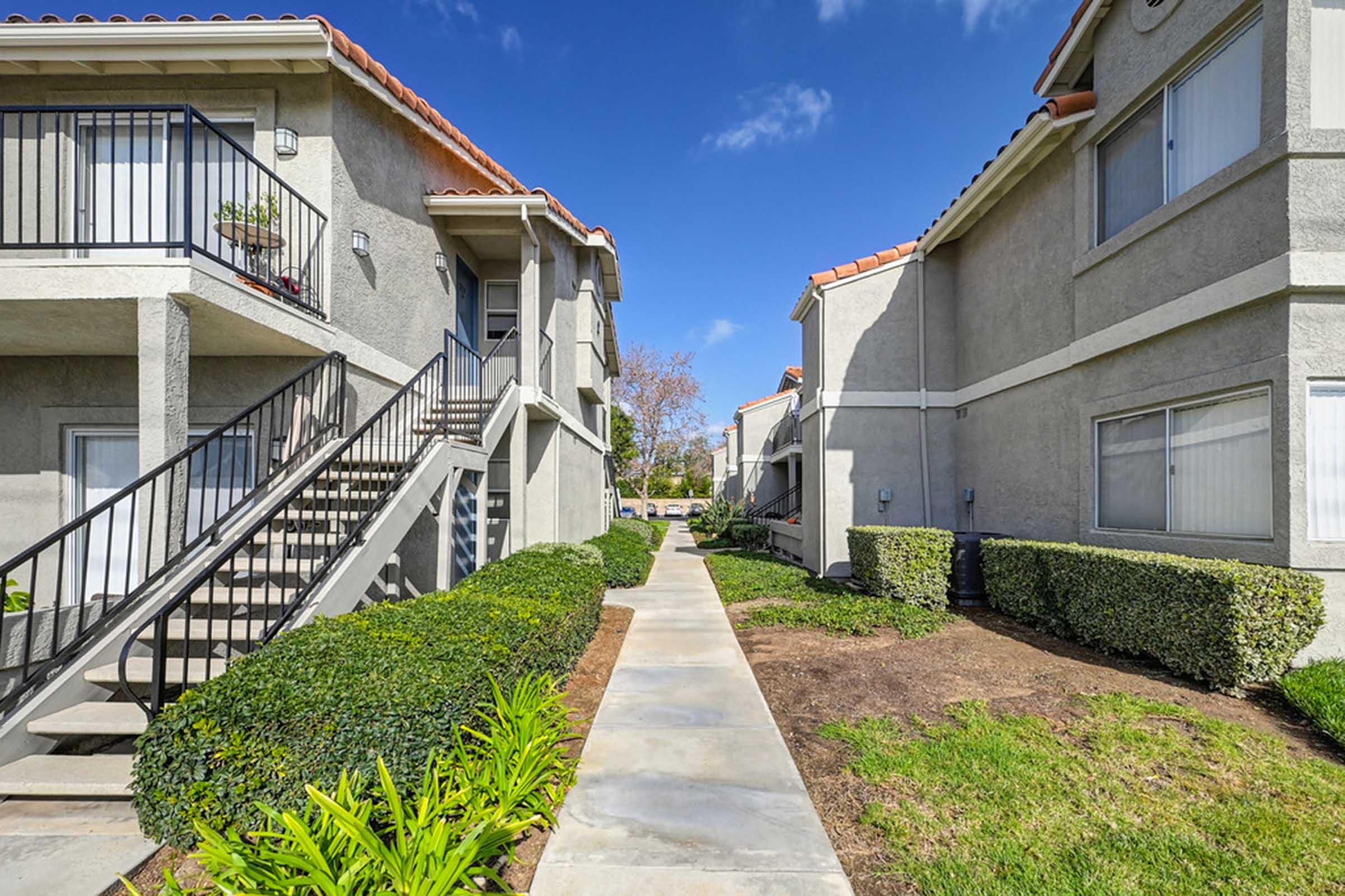 bushes and grass next to buildings