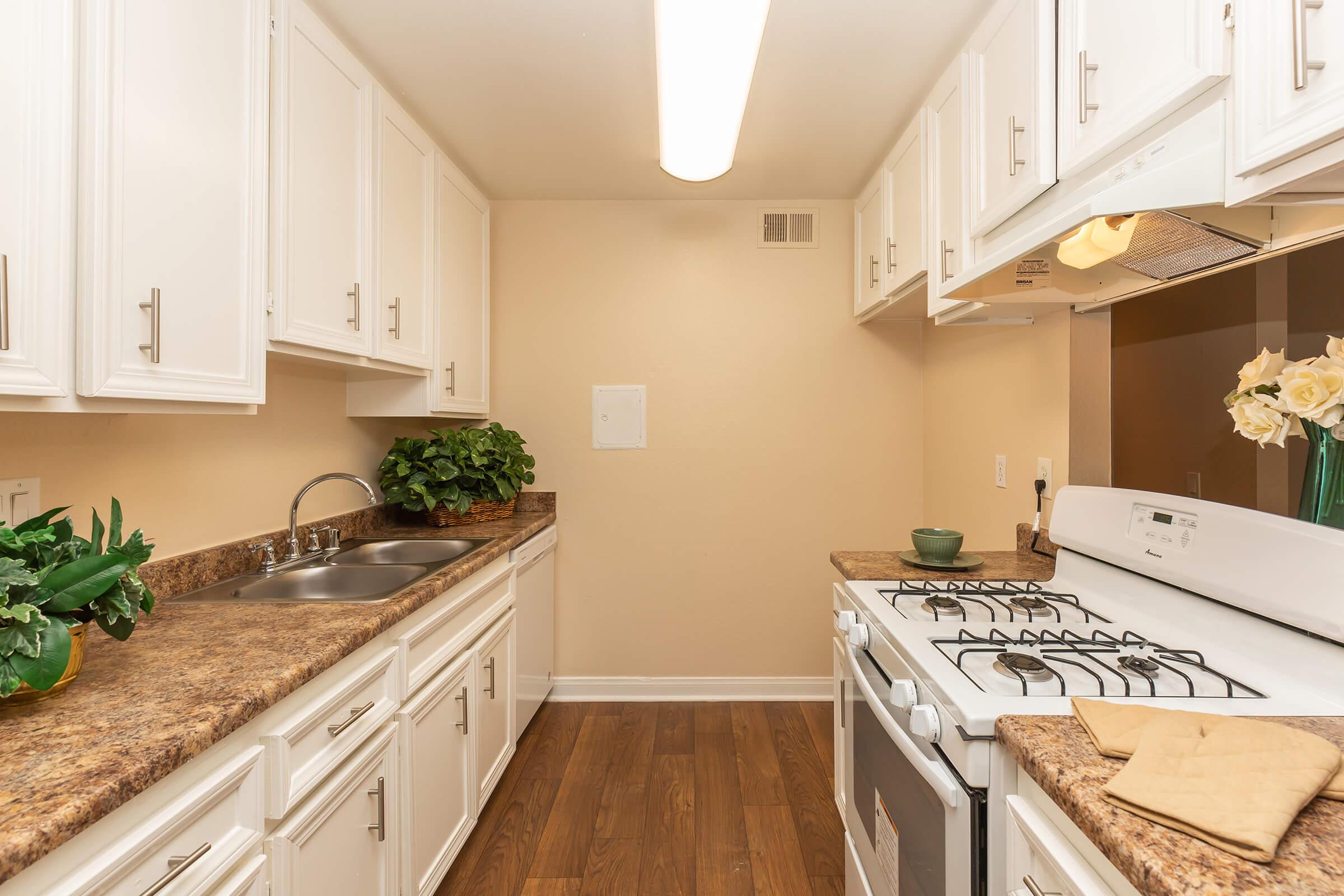 a kitchen with a stove and a sink