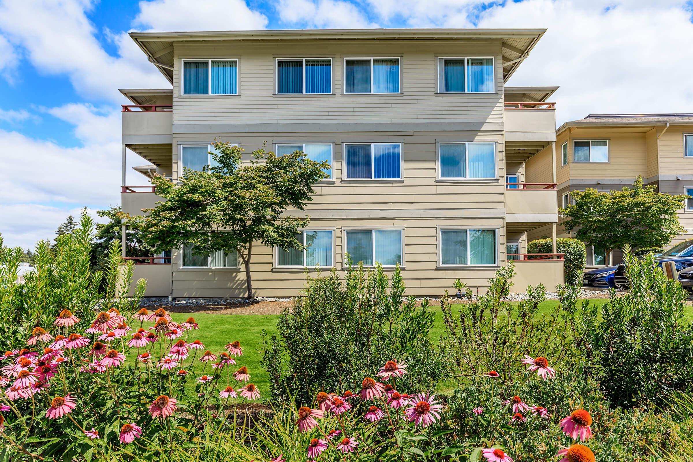 a close up of a flower garden in front of a building