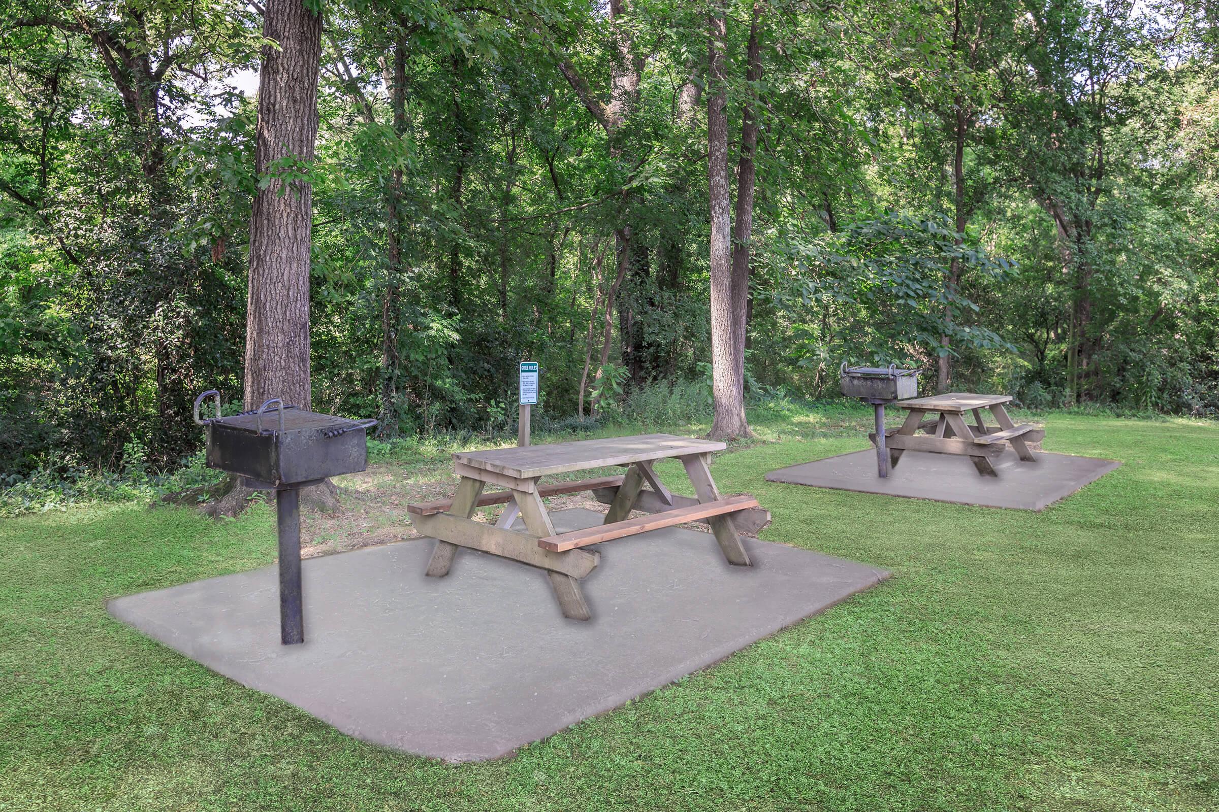 an empty park bench next to a tree